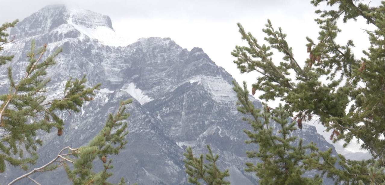 Mountain snowpack levels vary across Montana - Vimarsana News